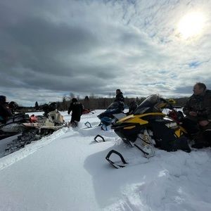 Meet your Posher, Bryce